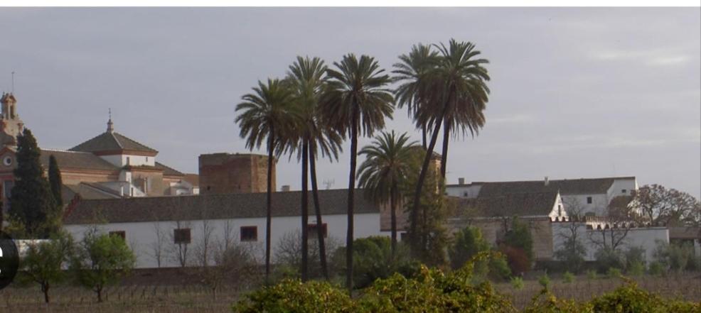 אספרטינס Apartamento Turistico Damajuana Parking Free מראה חיצוני תמונה